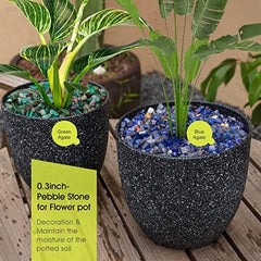 RIFNY grava decorativa verde para macetas, embellece plantas con brillo