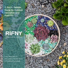 Piedras decorativas blancas RIFNY para macetas, jardines y terrarios