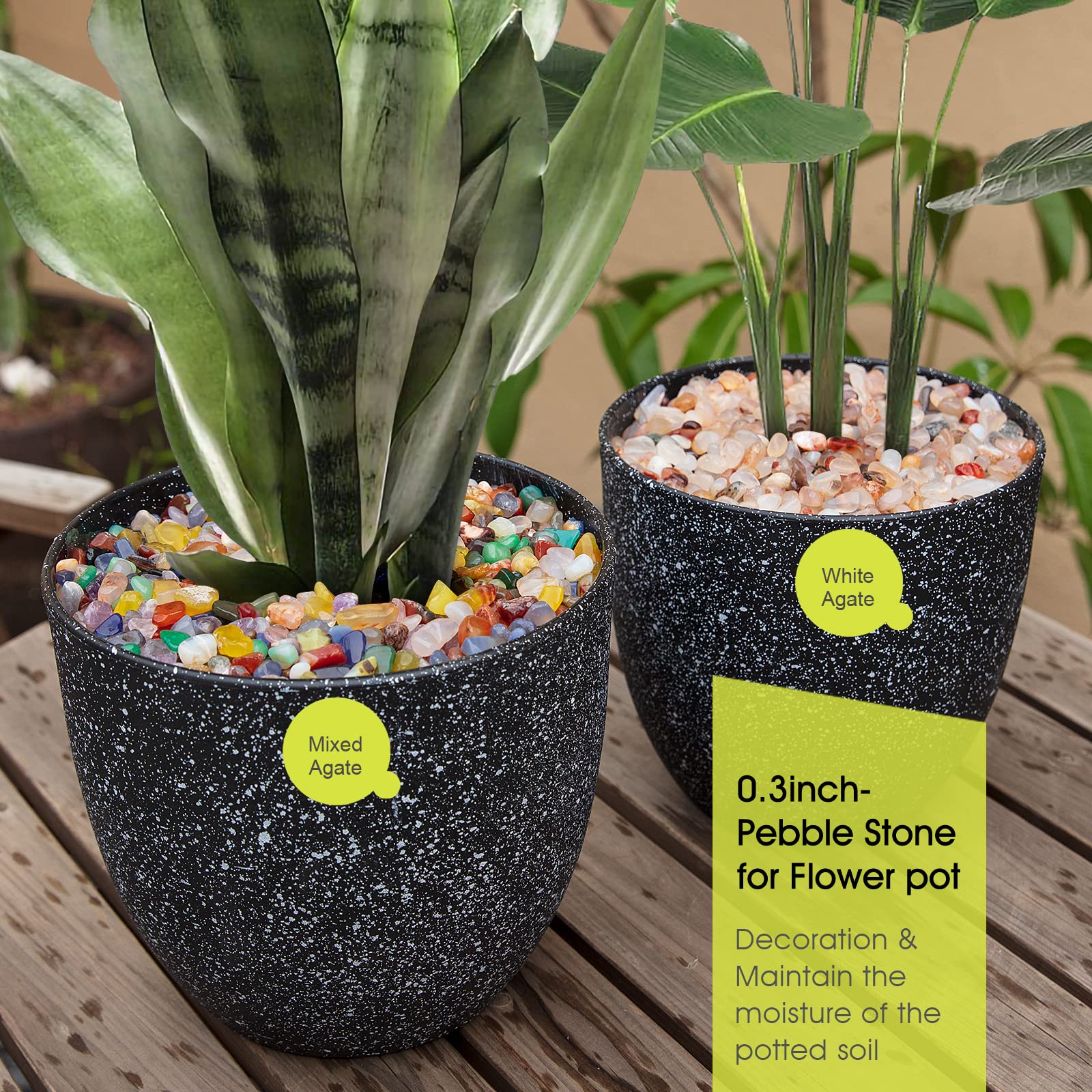 Grava RIFNY para proyectos hazlo tú mismo, plantas y decoración