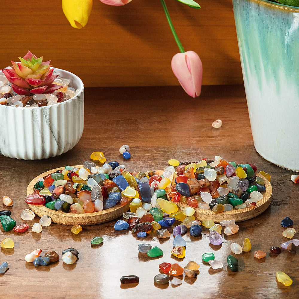 Piedras RIFNY para plantas, embellecen macetas interiores.