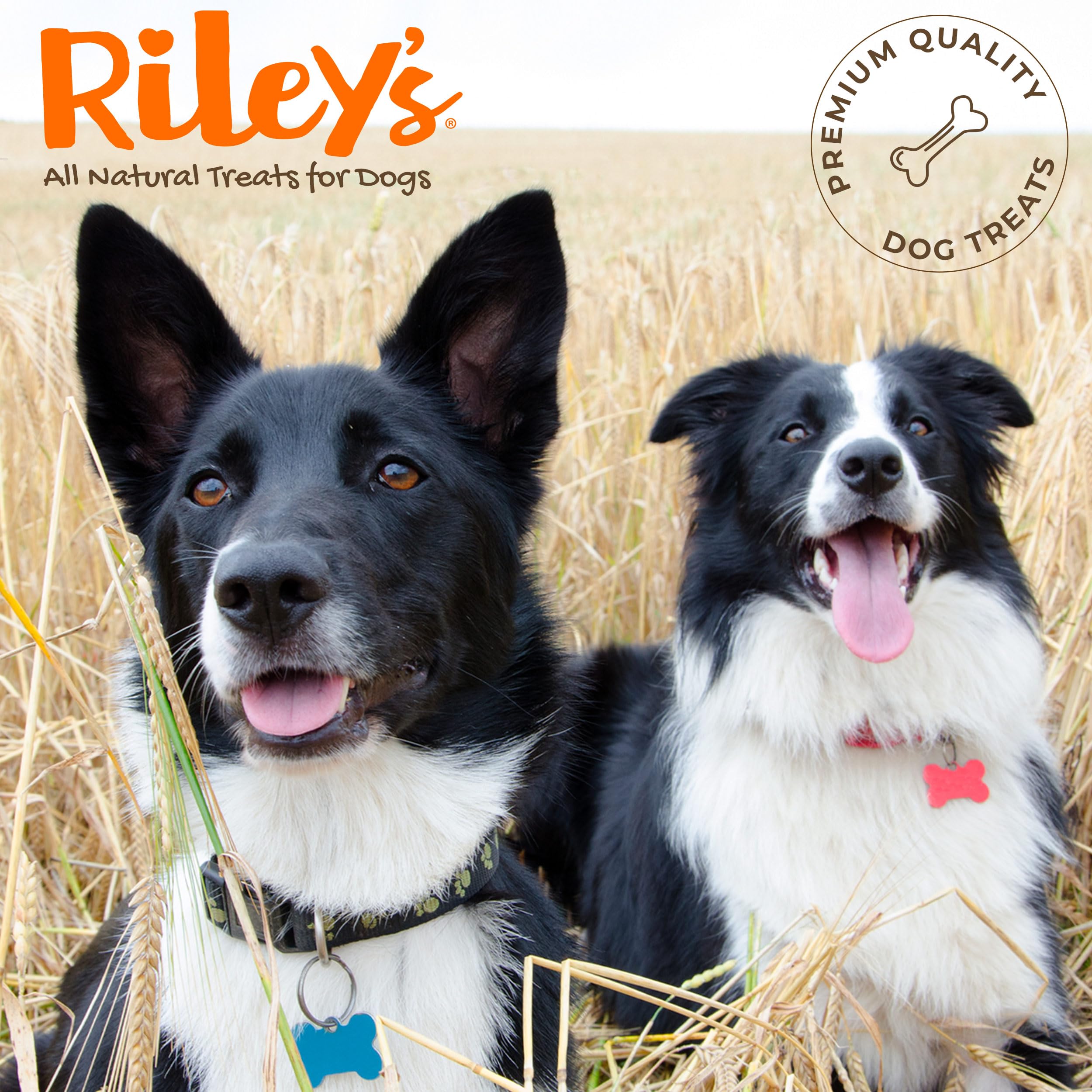 Riley's evita resistencia al medicar al perro durante la toma.