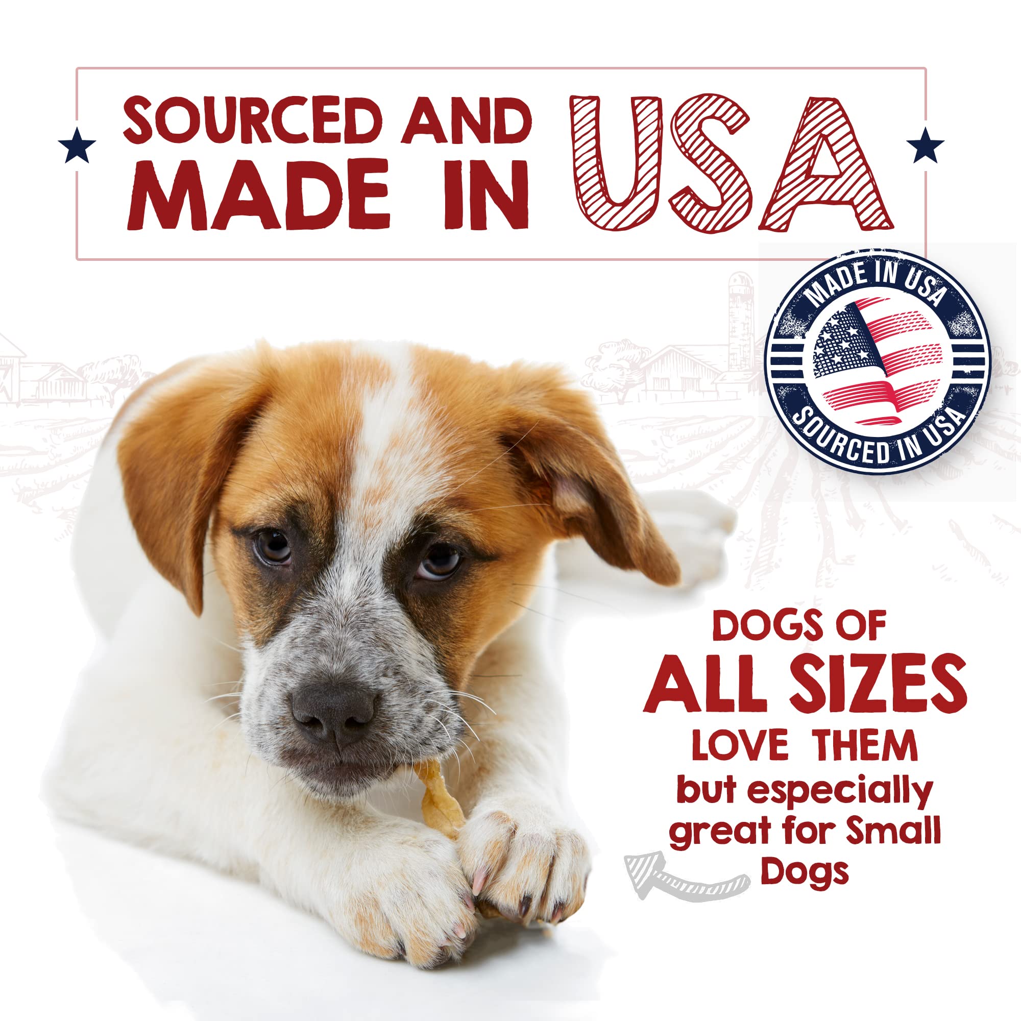 Paquete de 4 oz Riley's, ideal para perros activos