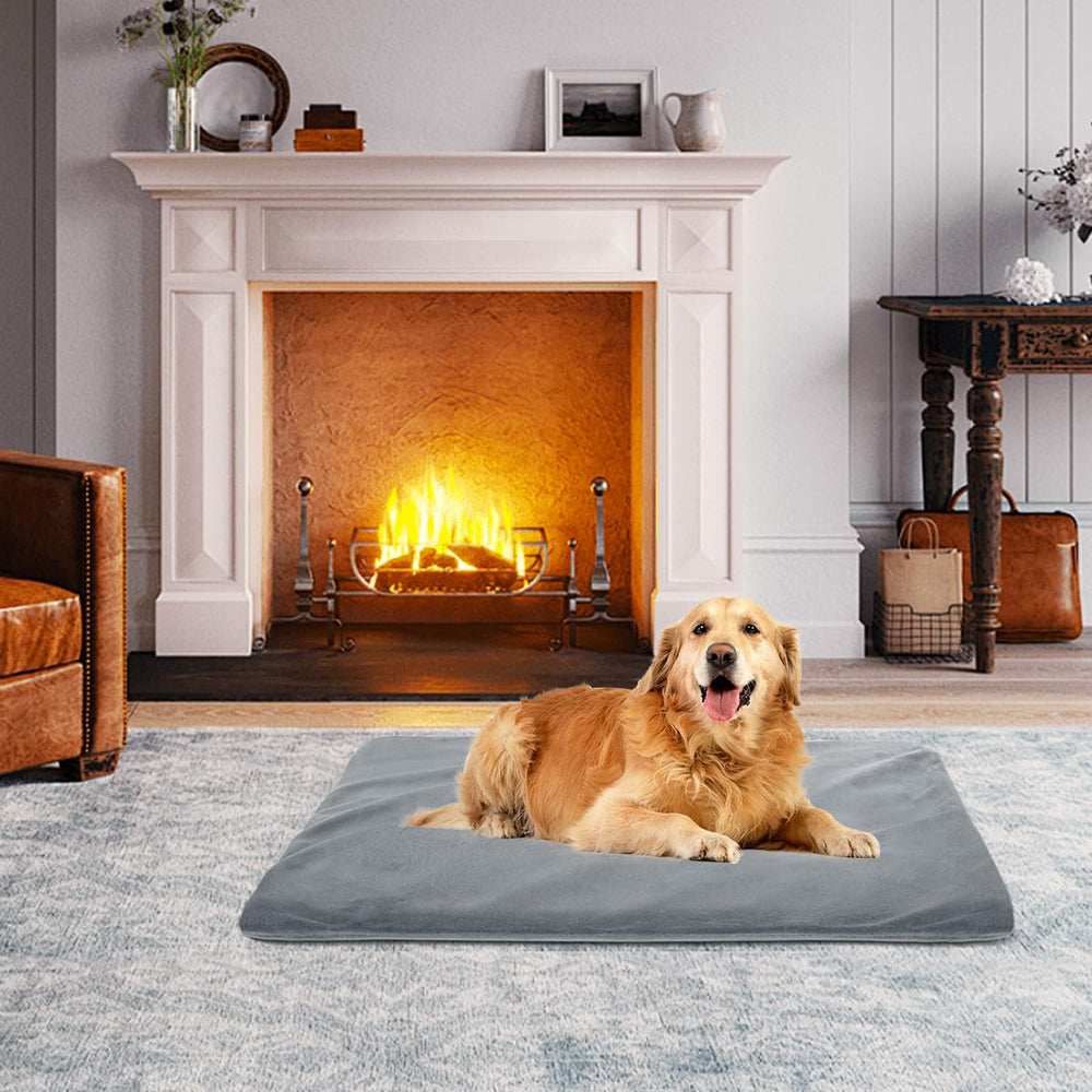 Riogoo uso ideal en invierno para el confort diario de perros y gatos