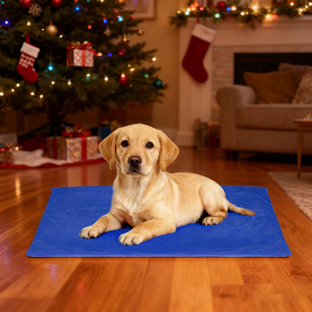 Riogoo regalo para mascotas en invierno para mayor confort