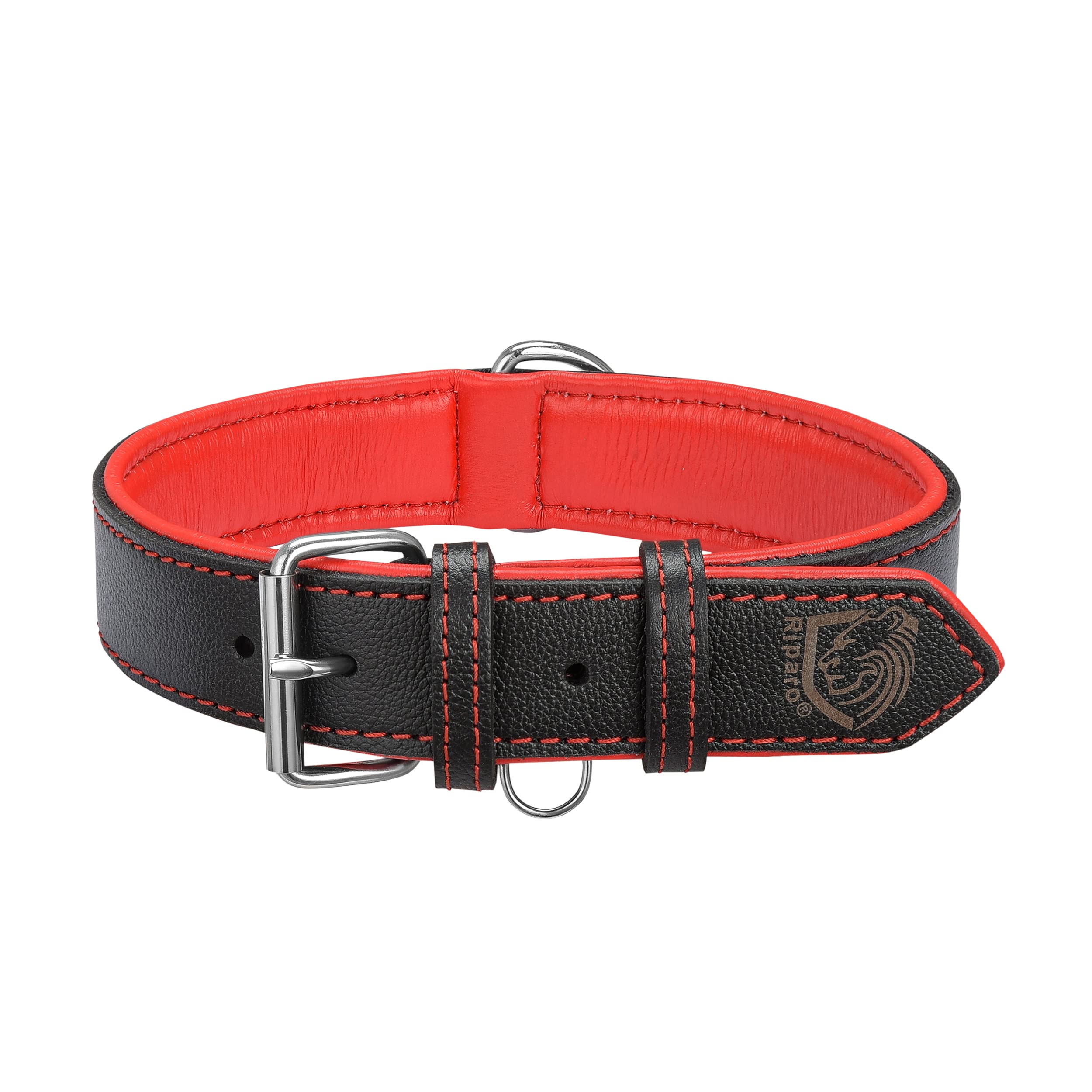 Riparo collar de cuero ajustable para perro, ideal para paseos diarios.