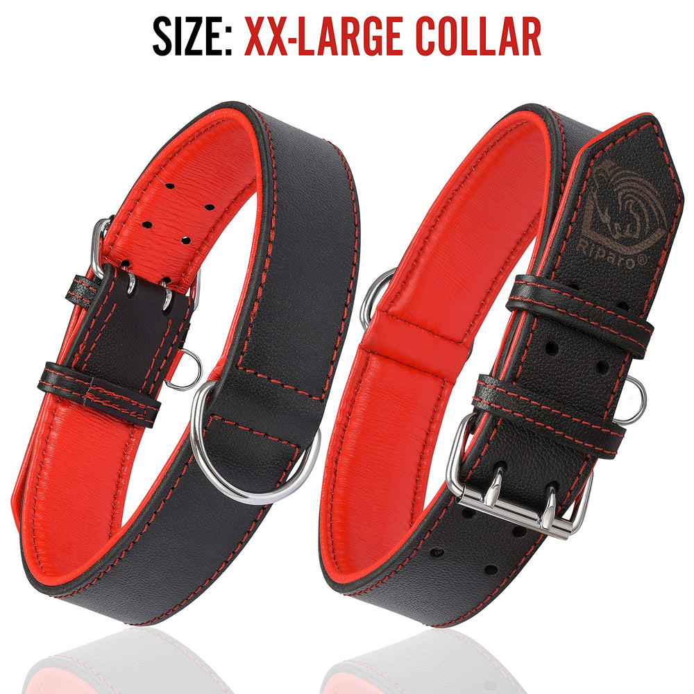 Riparo collar con portaetiquetas para identificación rápida.