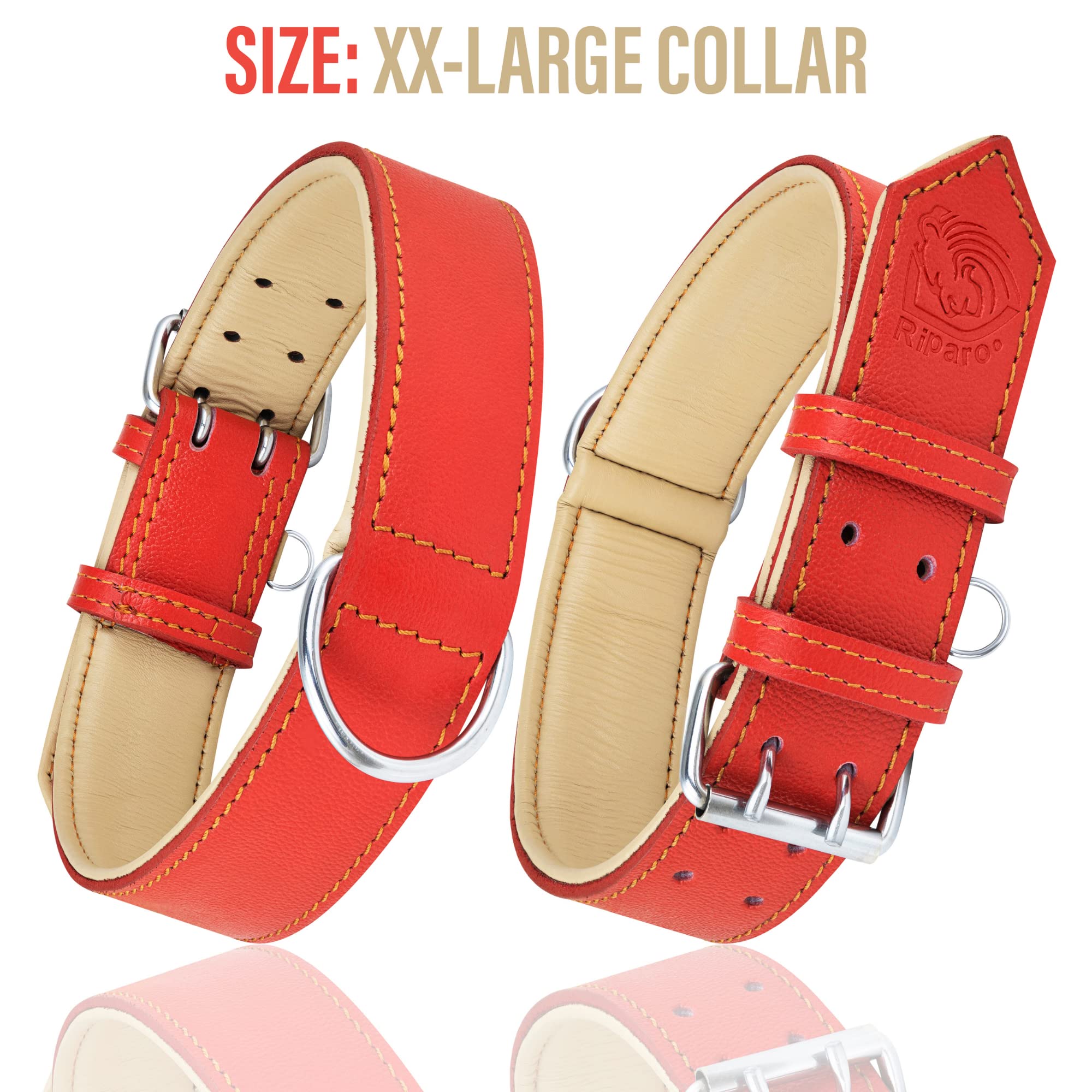 Riparo collar con anilla para etiqueta, facilita la identificación en cada paseo.