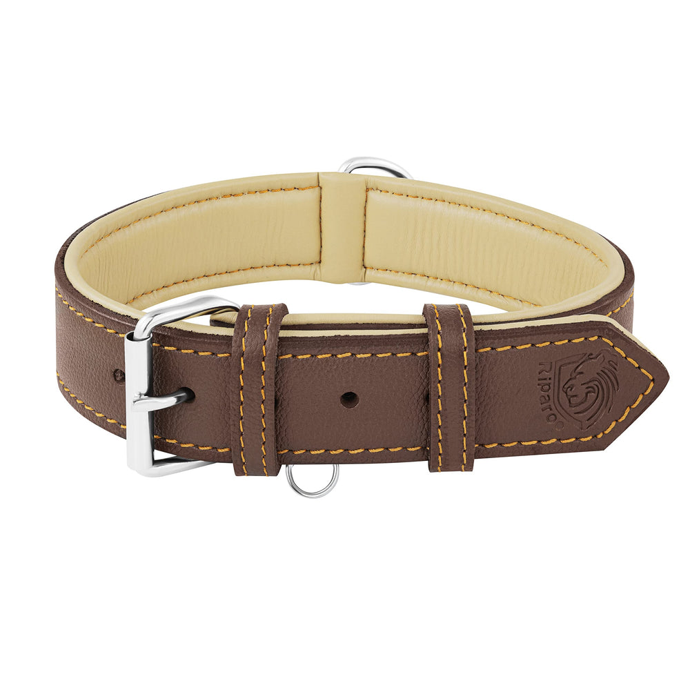 Riparo collar de cuero ajustable 2 pulgadas para perros, ajuste cómodo y seguro.