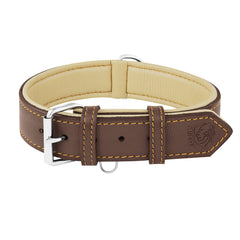 Riparo collar de cuero ajustable 2 pulgadas para perros, ajuste cómodo y seguro.
