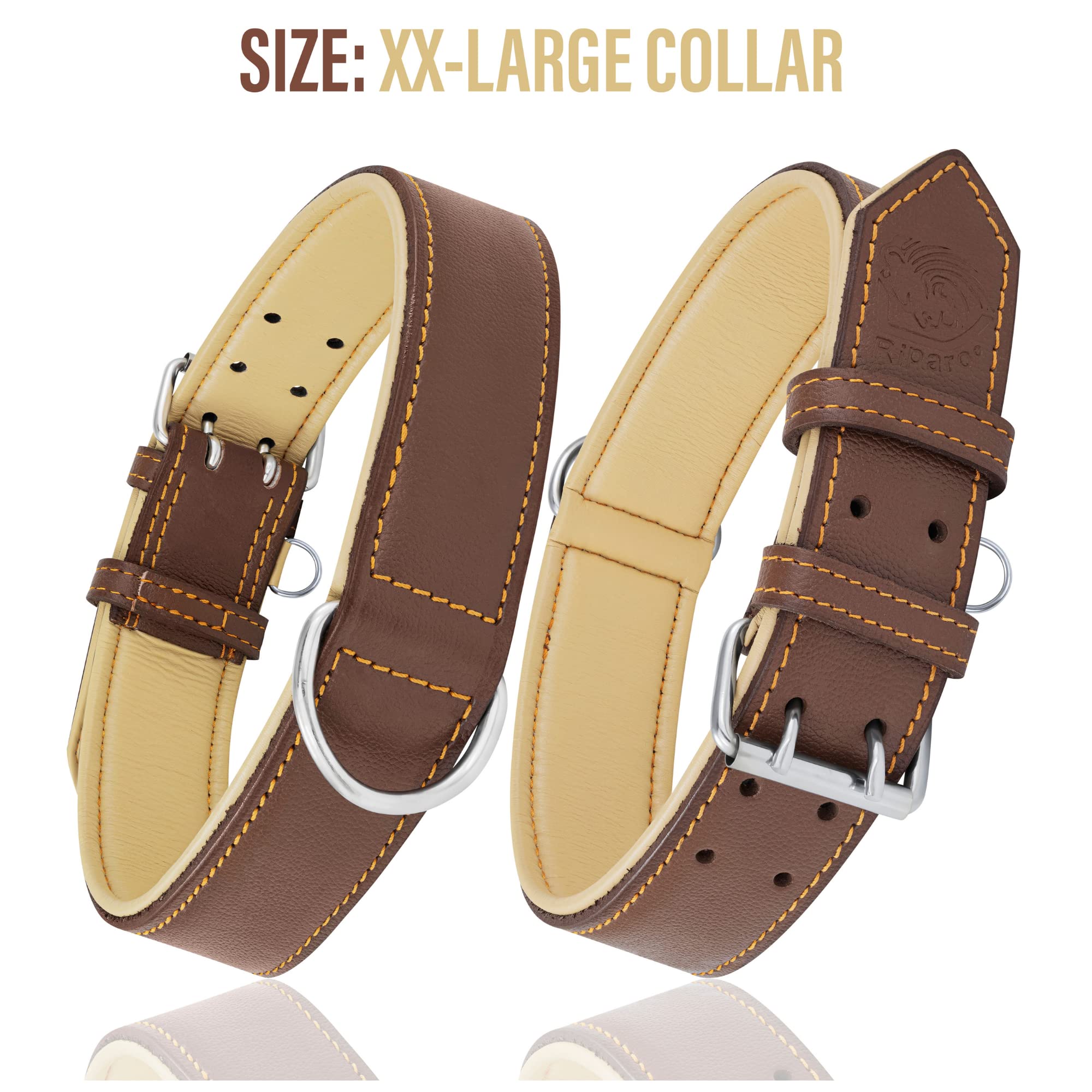 Riparo collar de cuero con anilla D resistente para entrenamiento.