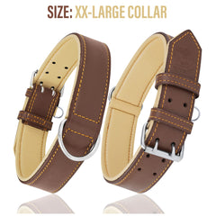 Riparo collar de cuero con anilla D resistente para entrenamiento.