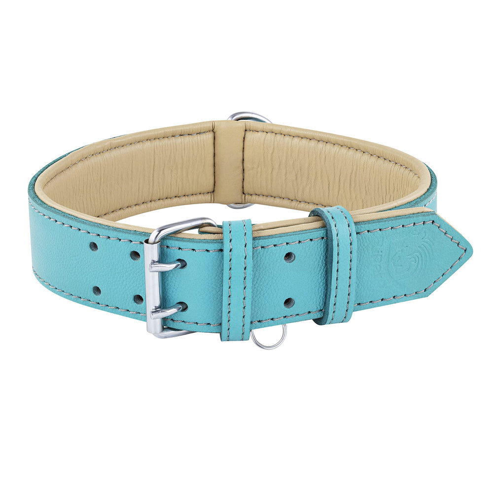 Collar Riparo de cuero azul, uso urbano con apariencia elegante.