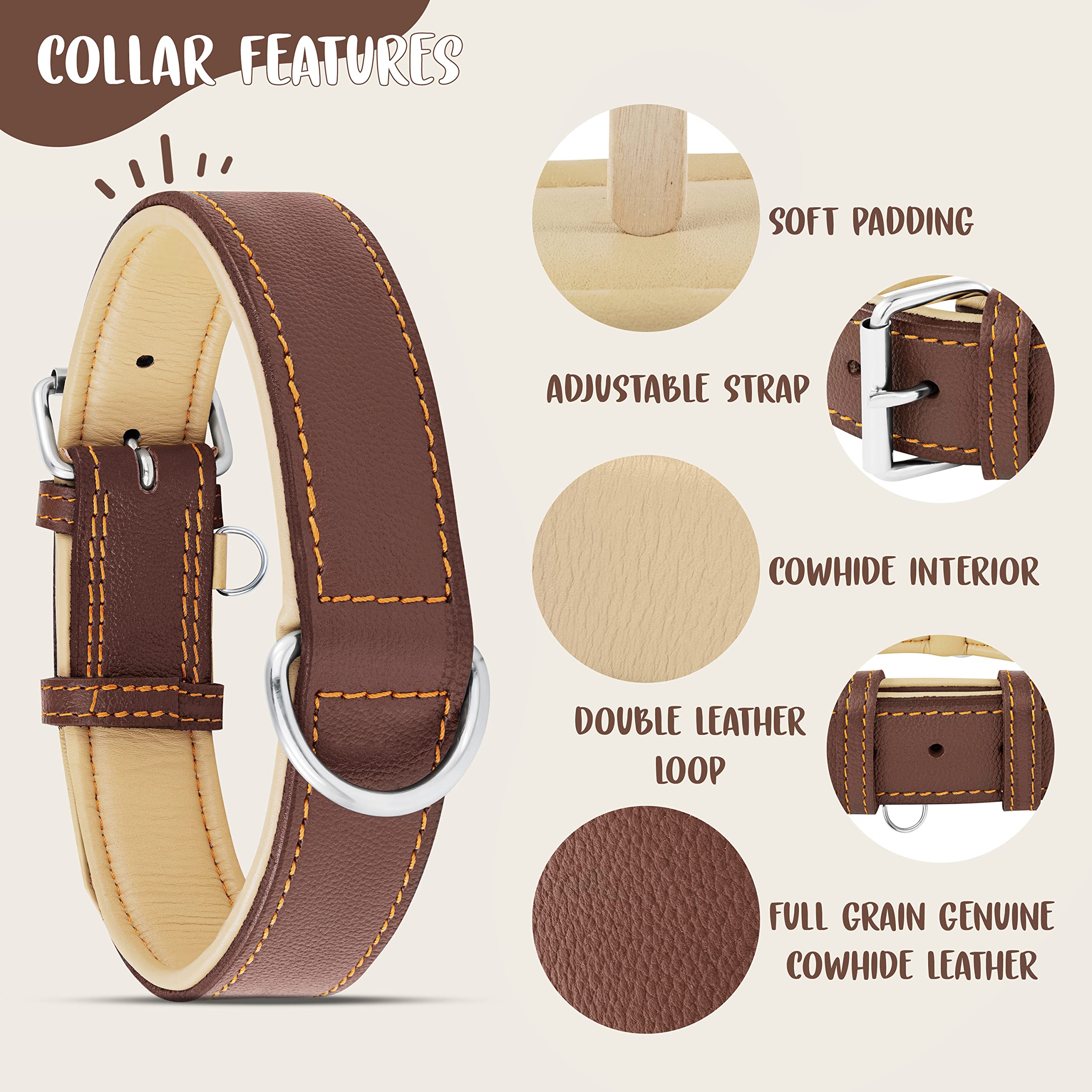 Riparo collar de cuero cómodo y duradero para razas grandes.