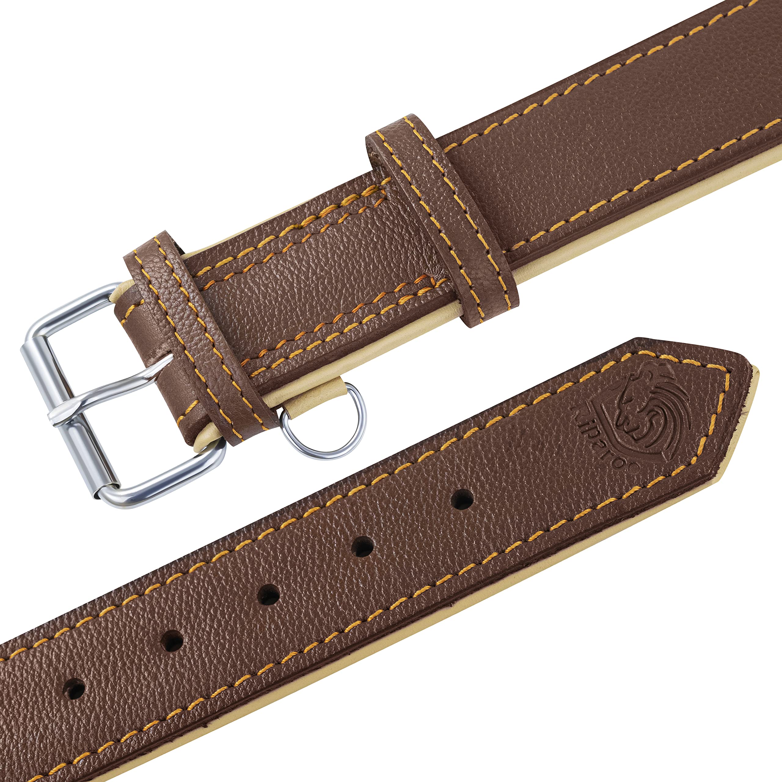 Riparo collar de cuero elegante, compatible con correa para conjunto coordinado.