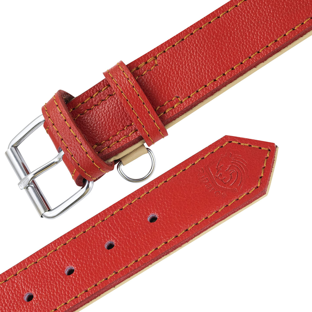 Riparo collar para perros grandes con ancho amplio, ofrece mayor soporte.