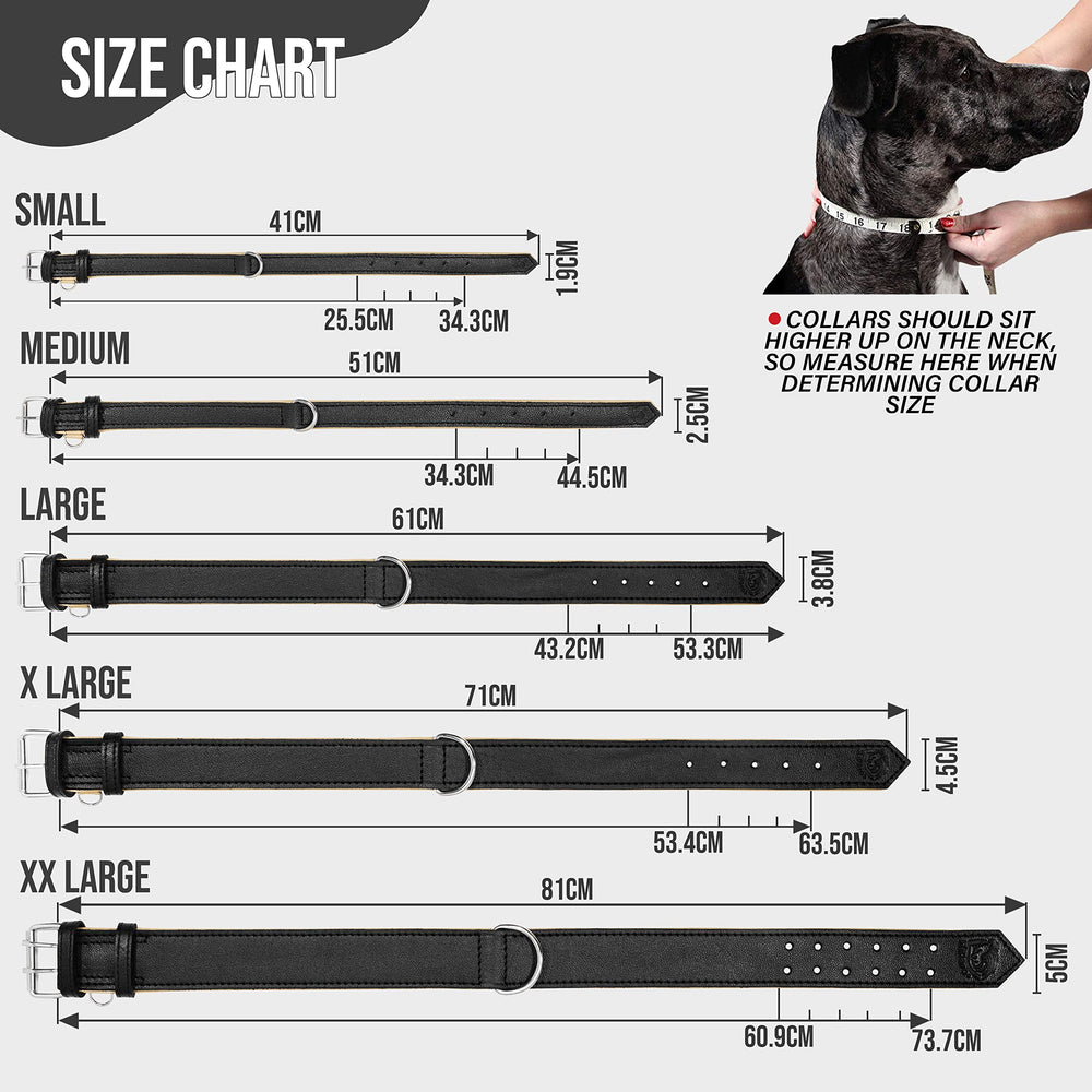 Collar negro Riparo con placa de identificación y acabado resistente.