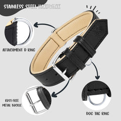 Collar Riparo con porta-placas de identificación para mascotas.