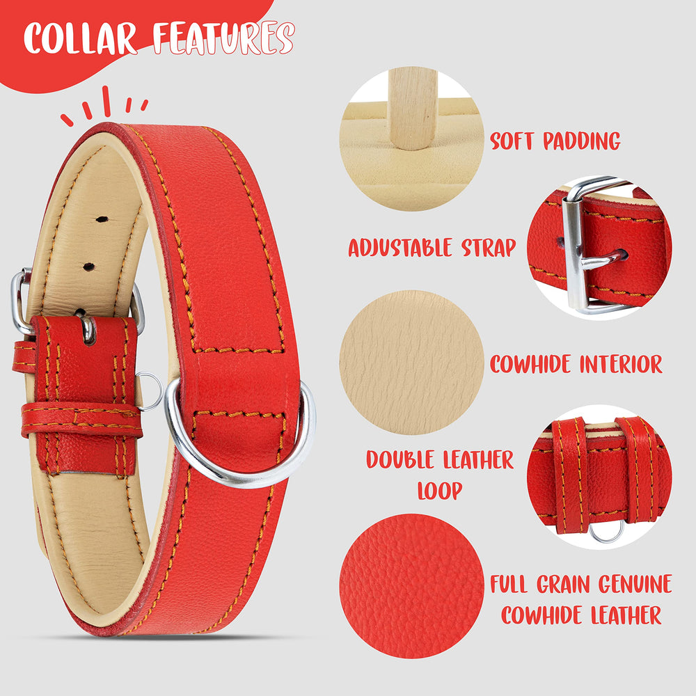 Riparo collar rojo de cuero, ajuste adaptable para cuellos medianos