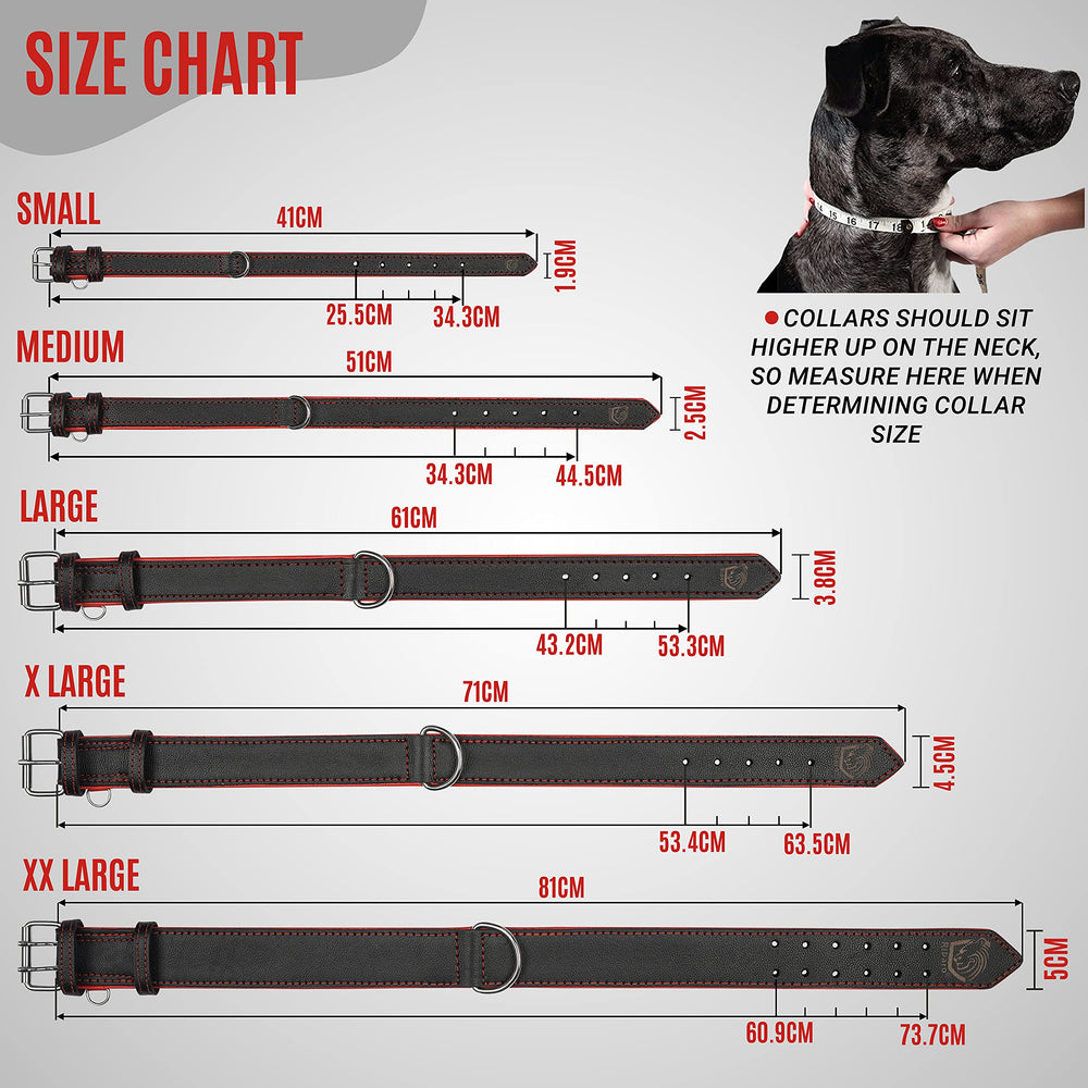 Riparo collar para todas las tallas, adecuado para perros activos.