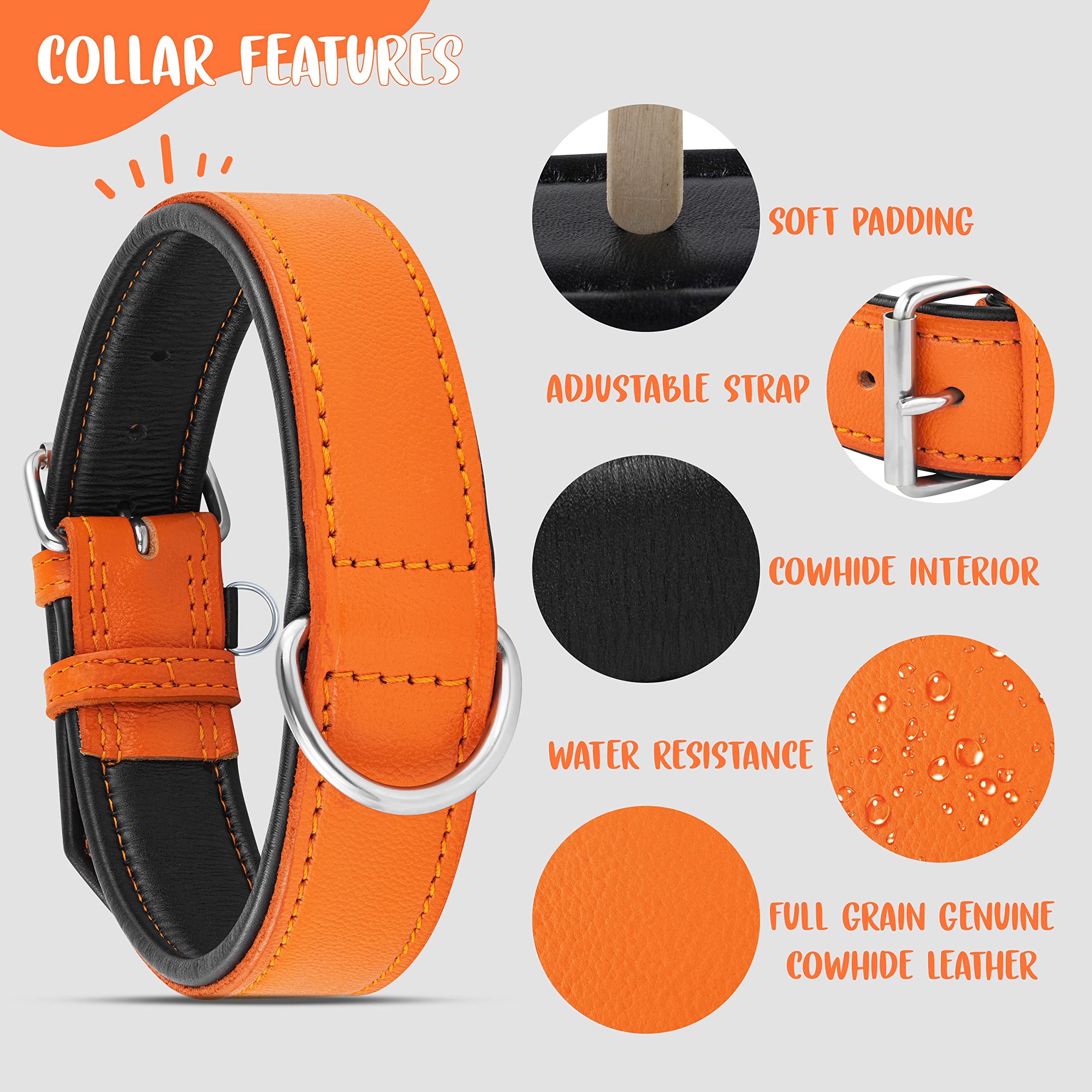 Acabado elegante del collar Riparo Motorsports en cuero naranja acolchado
