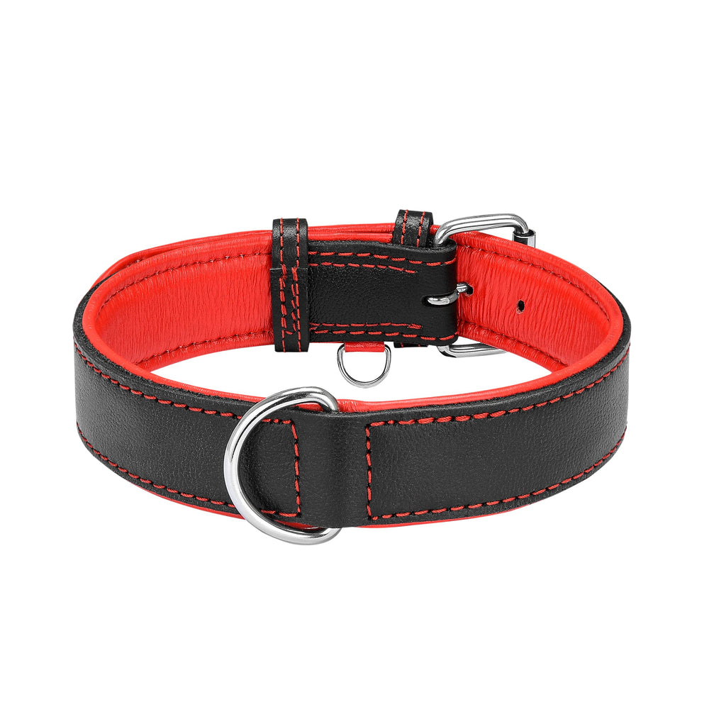 Riparo Motorsports collar para perro mediano, combina con la correa a juego Riparo.