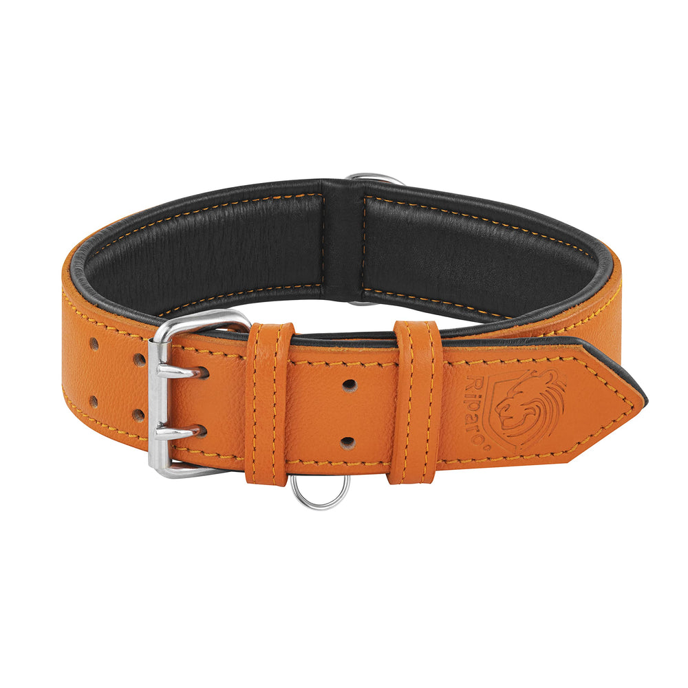 Conjunto coordinado: collar Riparo Motorsports naranja acolchado y correa a juego