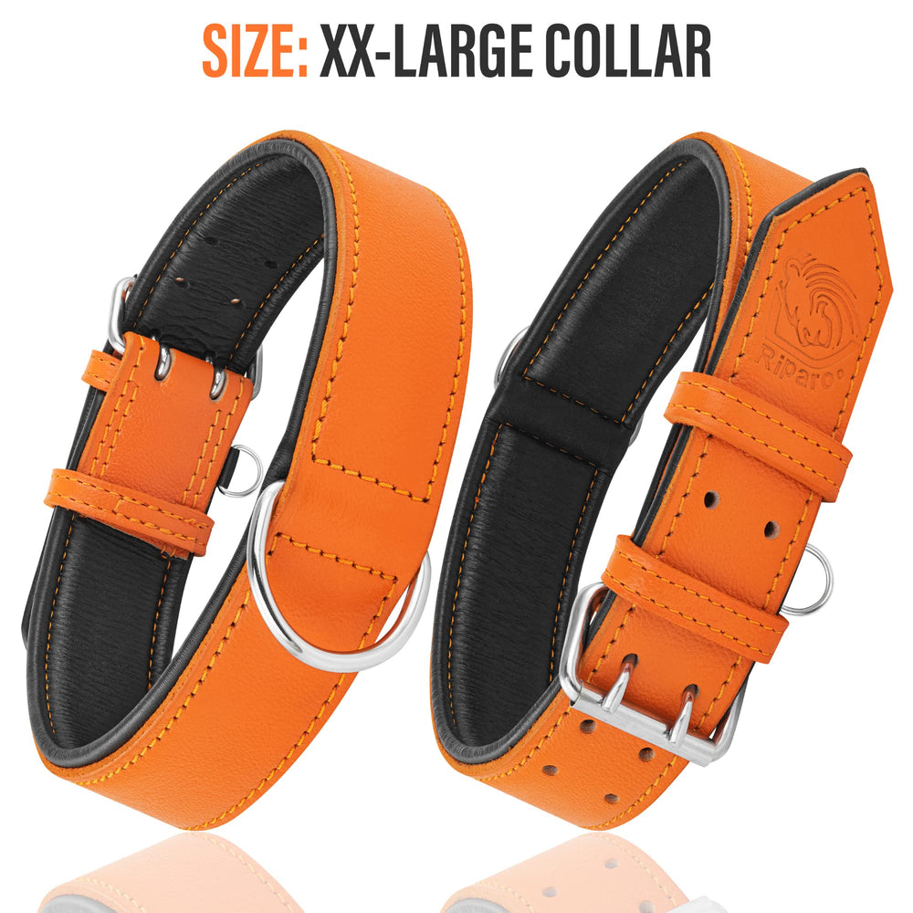 Etiqueta de identificación integrada en el collar Riparo Motorsports naranja acolchado