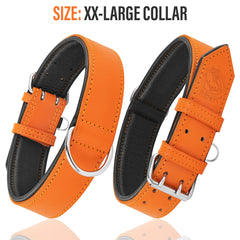 Etiqueta de identificación integrada en el collar Riparo Motorsports naranja acolchado