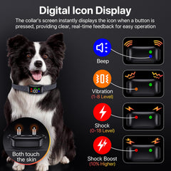 Riroga collar ajustable para ajuste cómodo en perros grandes.