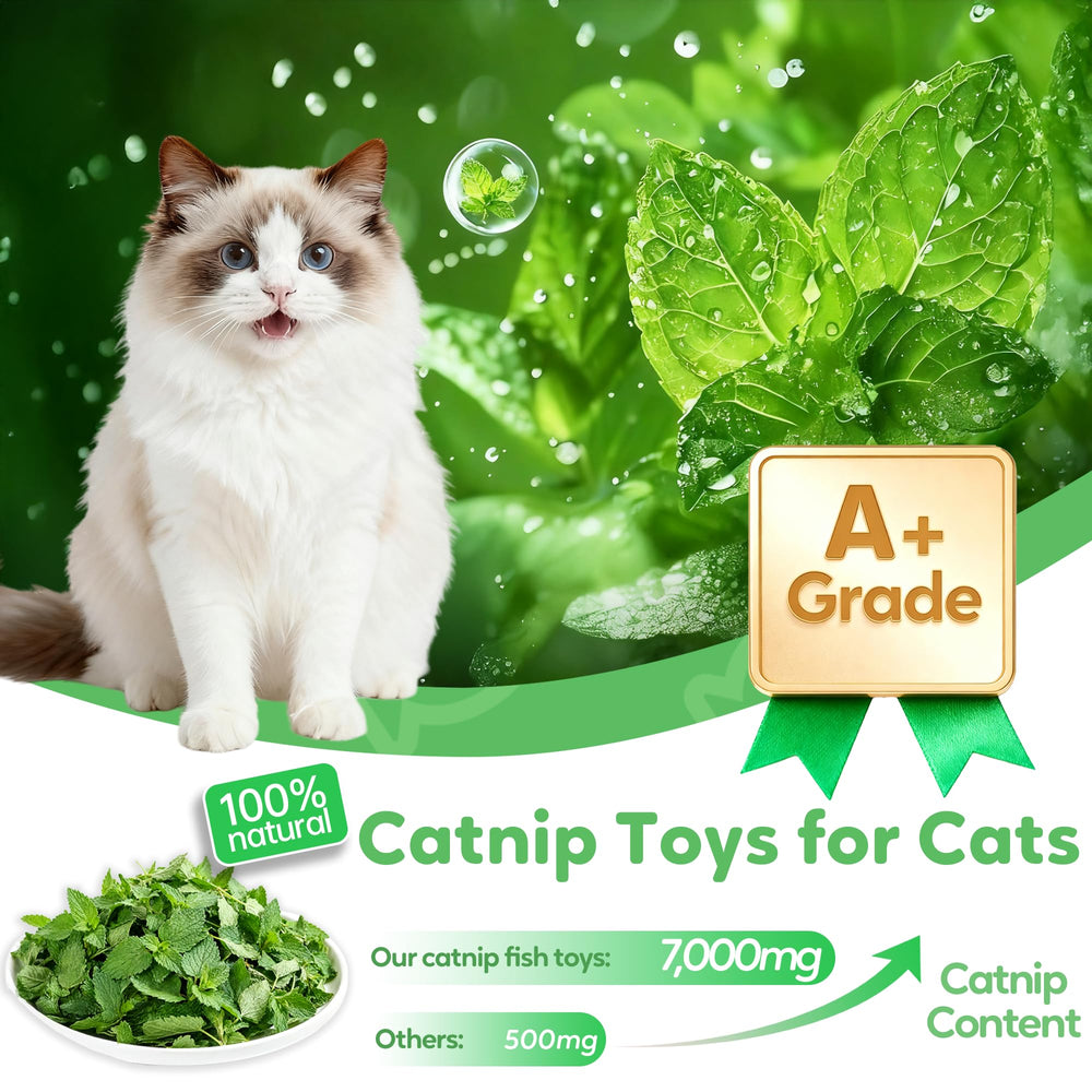 Rishoesu juguete-gato peluche natural, estimula actividad y juego seguro.