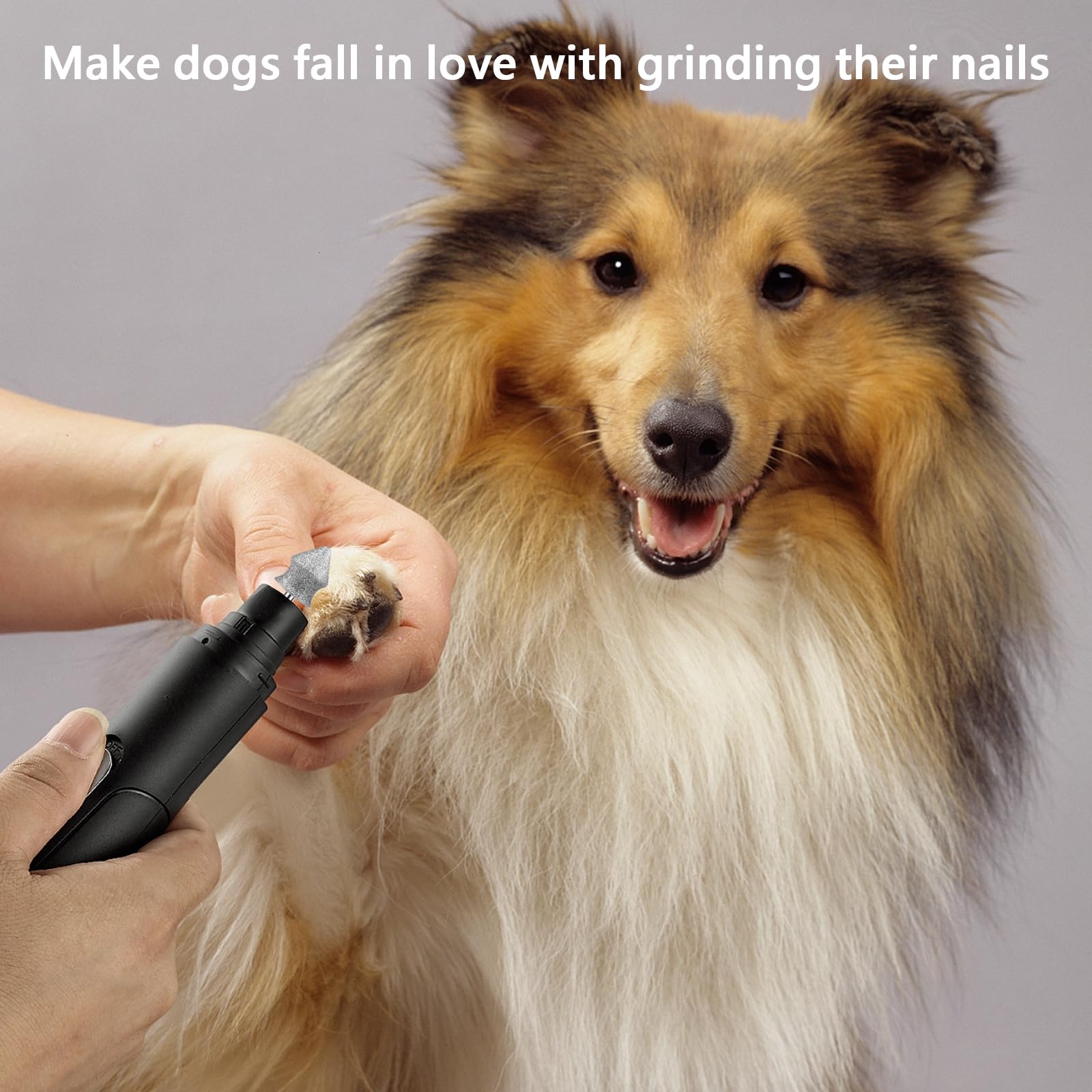 RIUORKIE control-velocidad-uñas-perro-diamante facilita un pulido suave y seguro.