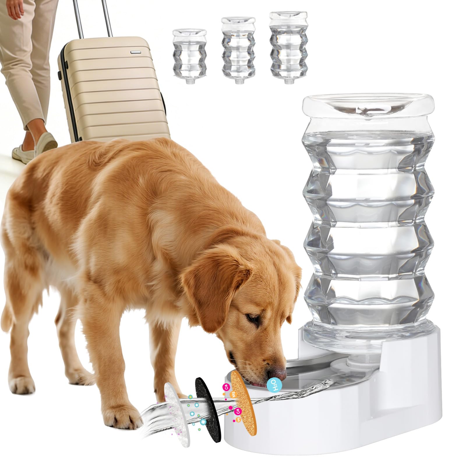 RIZZARI Dispensador de agua por gravedad 8L, flujo constante para mascotas grandes.