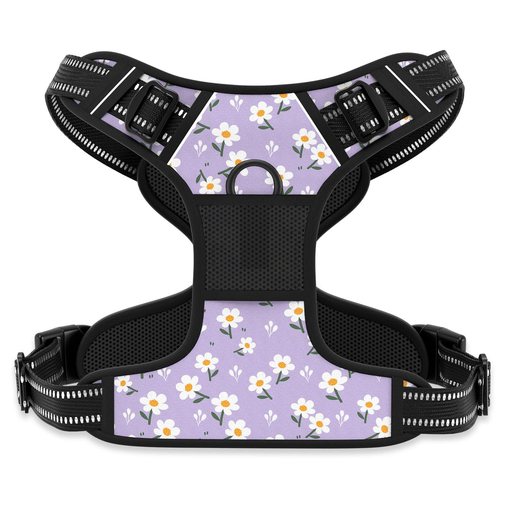 Rnivvi arnés flor reflectante talla extra pequeña, ideal para paseos nocturnos seguros