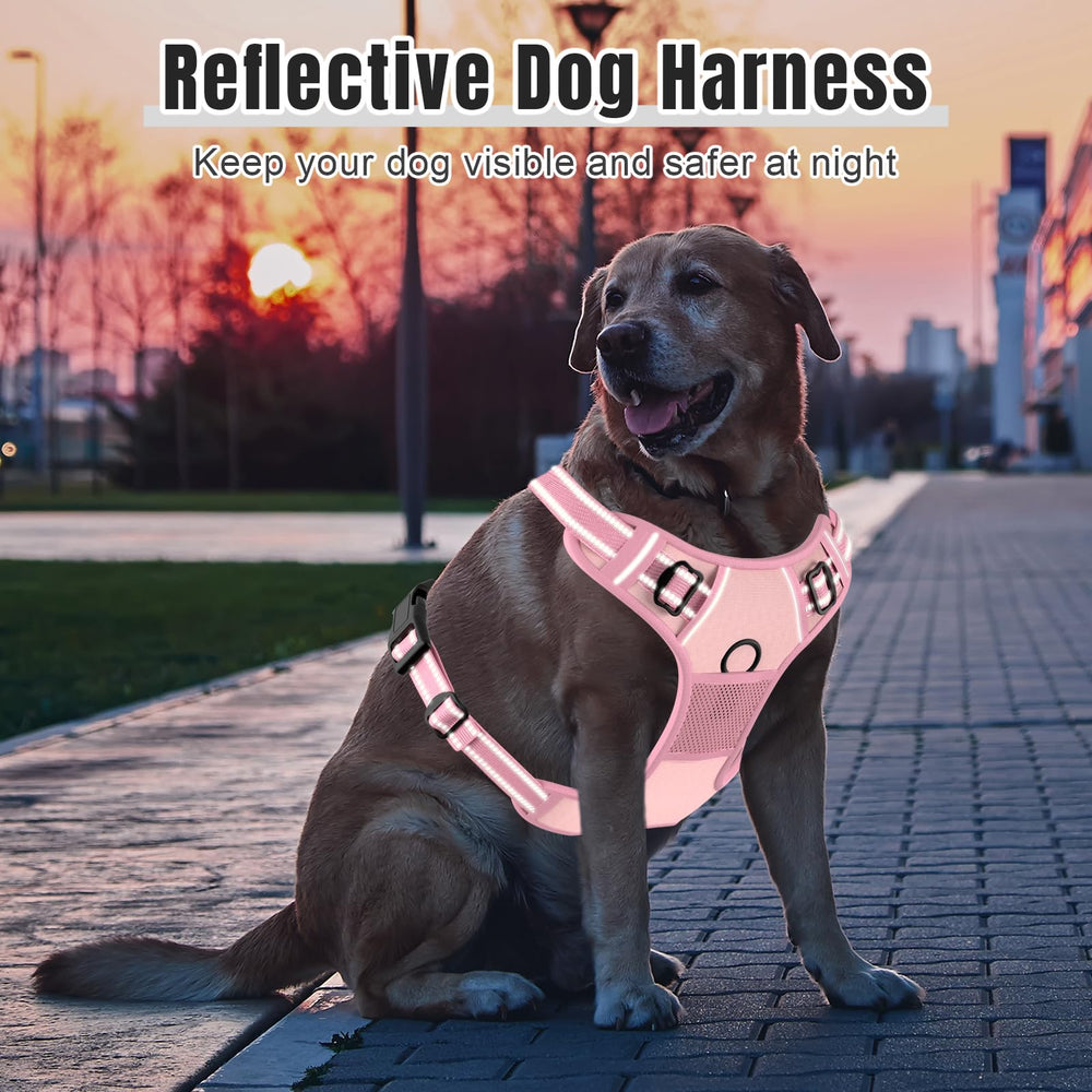 Arnés Rnivvi ideal para paseos y entrenamiento diario de perros grandes.
