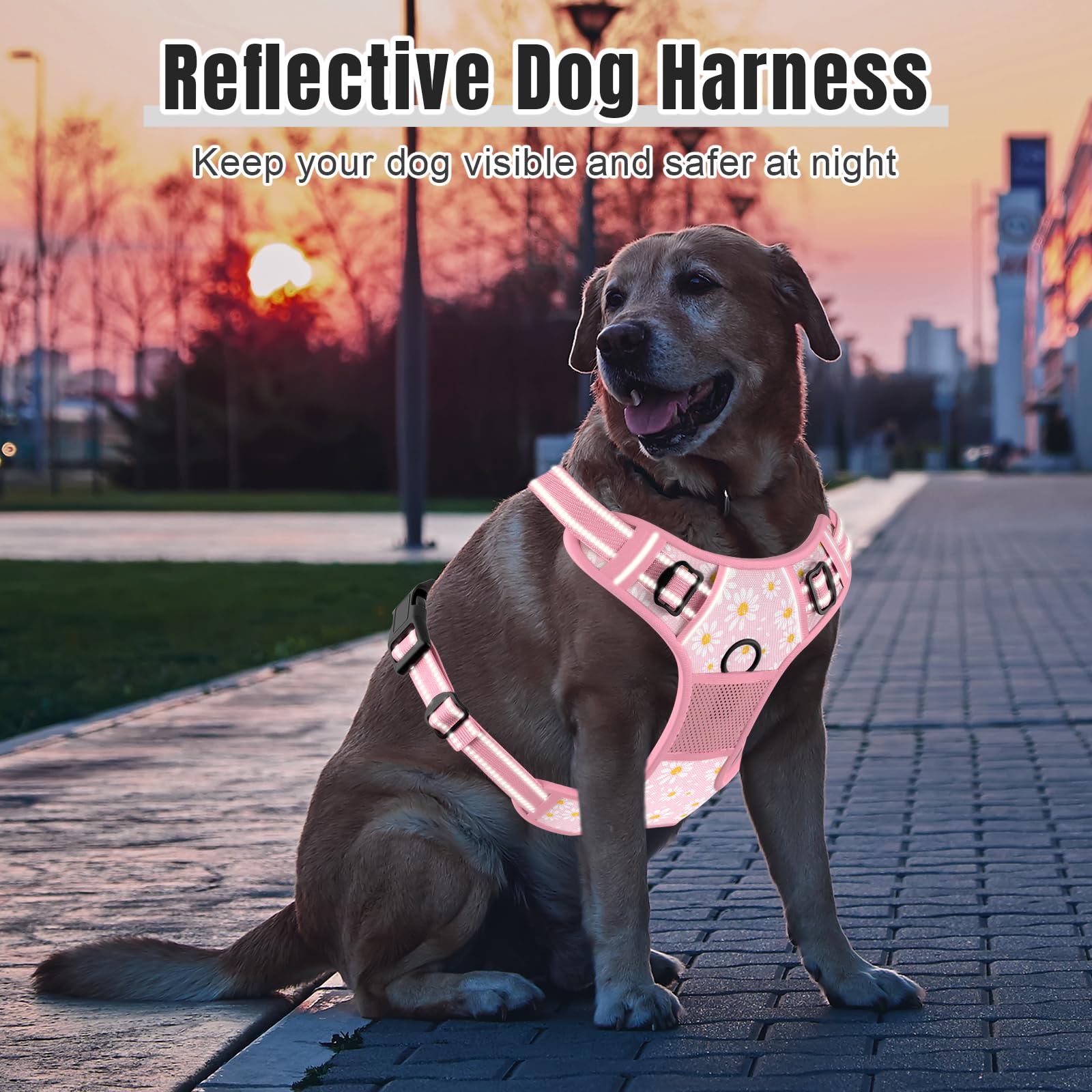 Arnés Rnivvi reflectivo para caminatas nocturnas seguras.