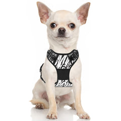 Rnivvi Arnes sin tirones Zebra dorso, clip trasero para caminatas relajadas.
