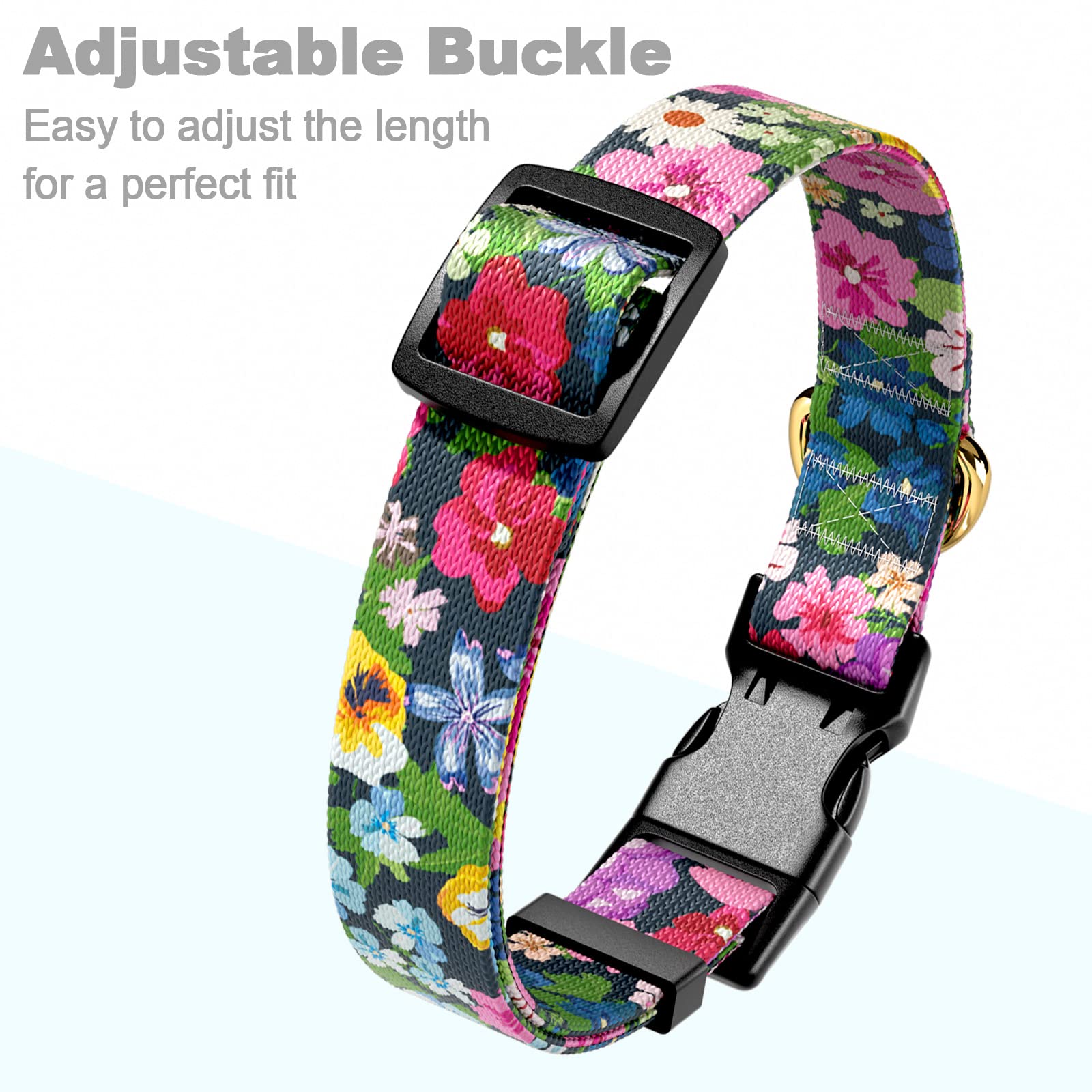 Collar rnivvi grande perfecto para paseos diarios y actividades