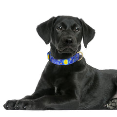 Collar Rnivvi boho para perros grandes, cómodo y duradero