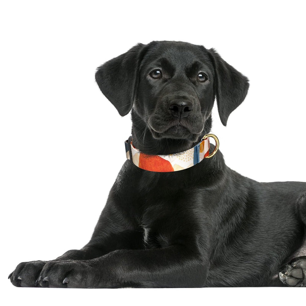 Collar Rnivvi para perros grandes con ajuste ajustable para comodidad