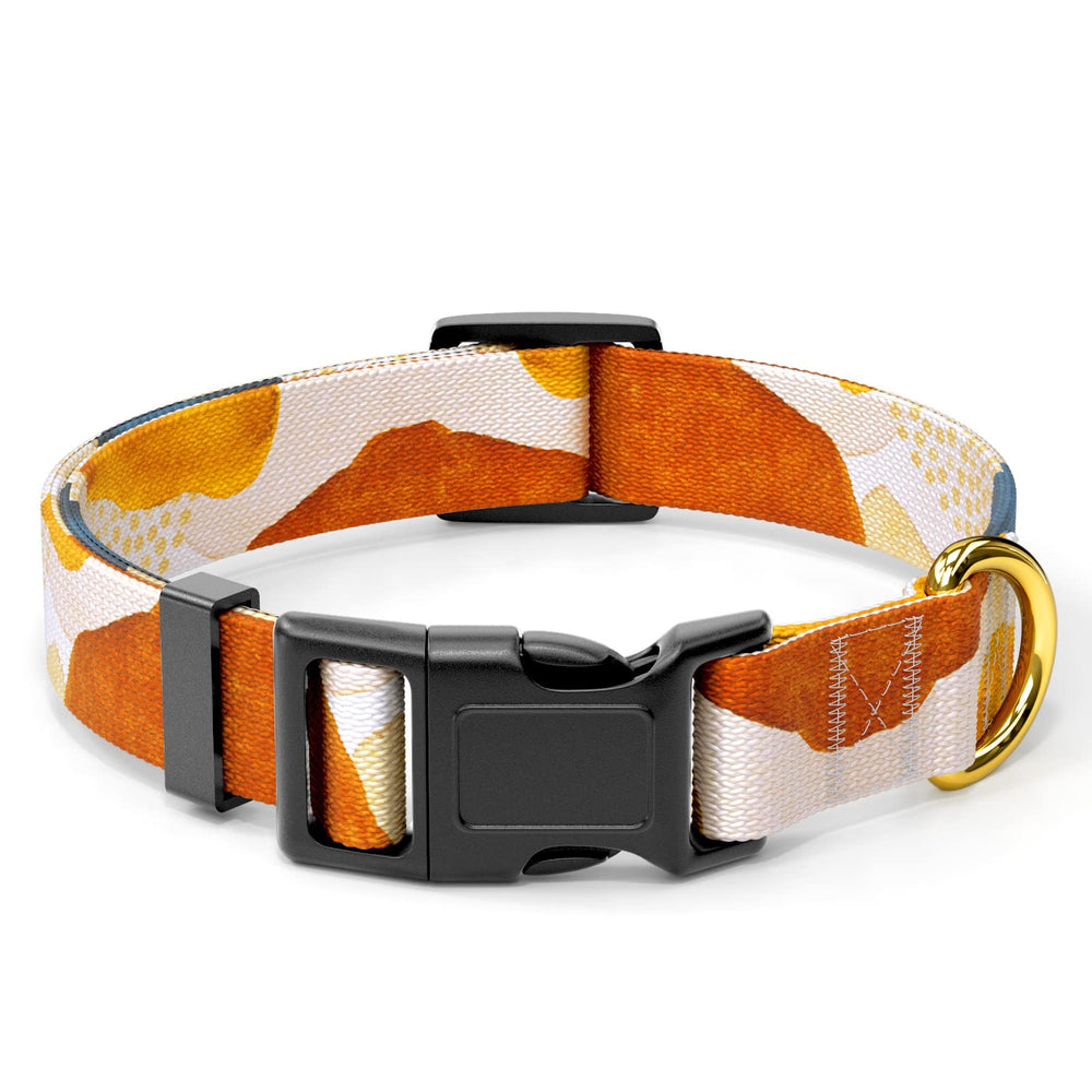 Collar Rnivvi para perros grandes con cierre rápido, ideal para paseos seguros