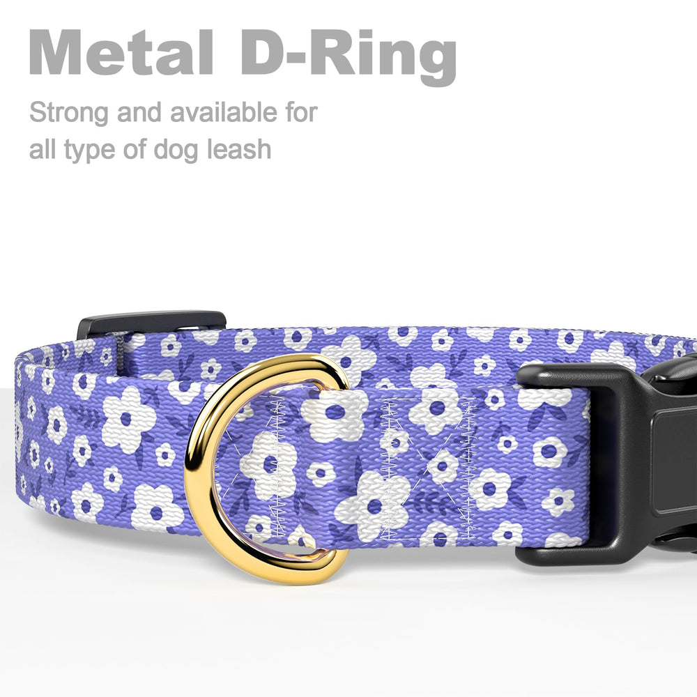 Collar Rnivvi para perro grande con diseño leopardo para uso cotidiano.