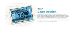ROAM huesos salvajes de avestruz del Cabo, origen Sudáfrica y calidad premium