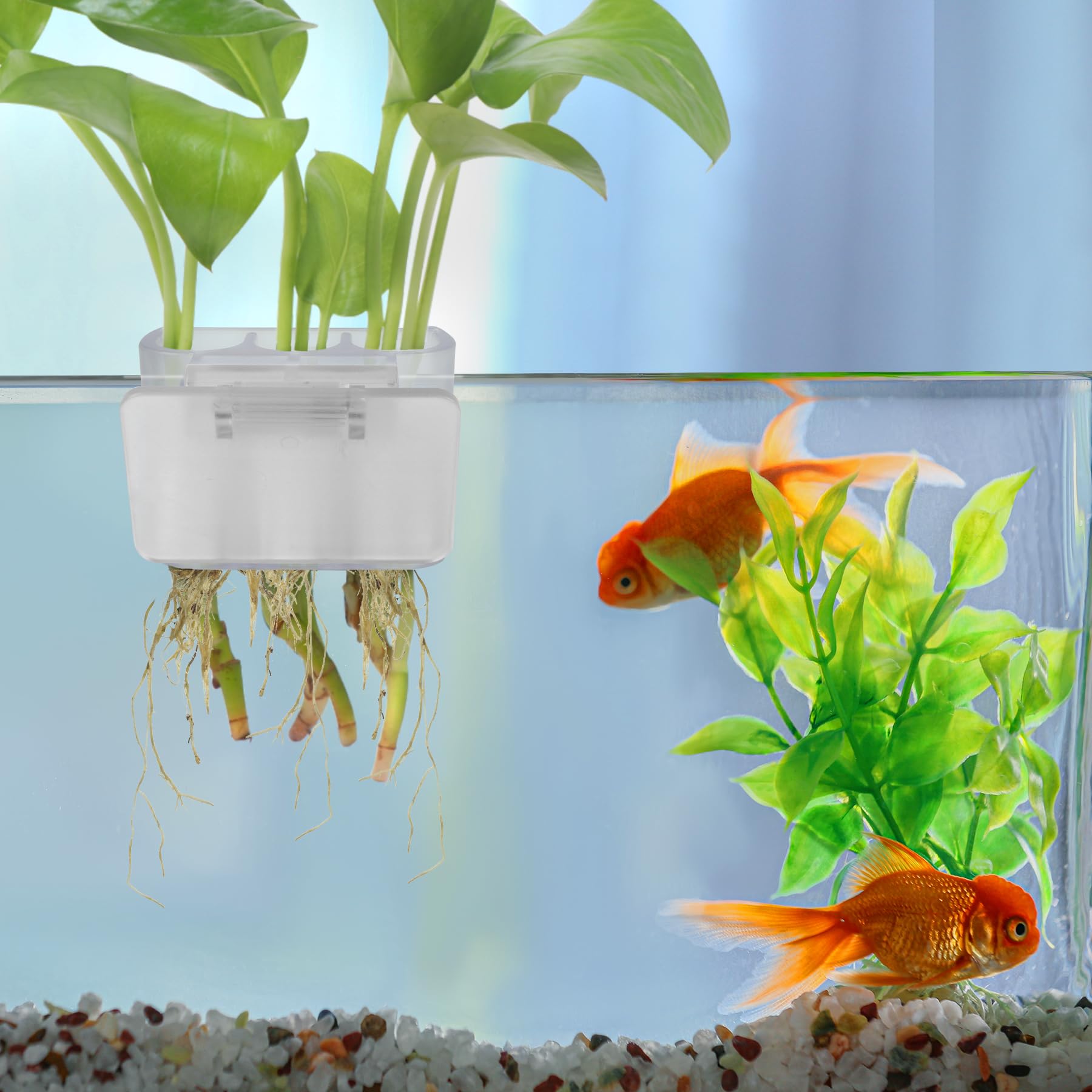 Roetelo clip de sujeción para plantas que previene caídas en el acuario