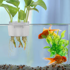 Roetelo clip de sujeción para plantas que previene caídas en el acuario