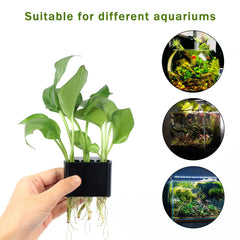 Roetelo diseño multifuncional con tres huecos para varias plantas.