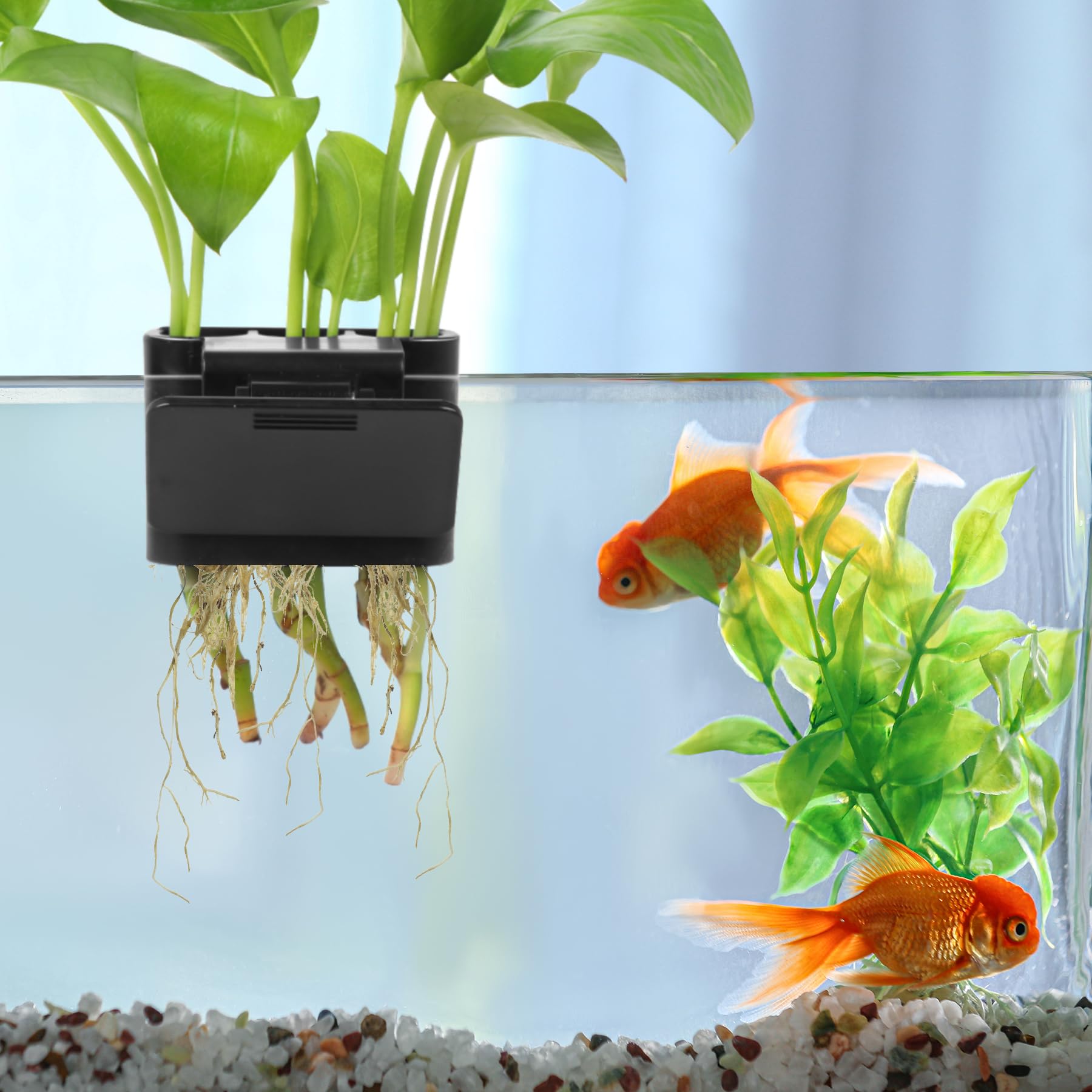Roetelo fijación con pinzas evita caídas de plantas en el acuario.