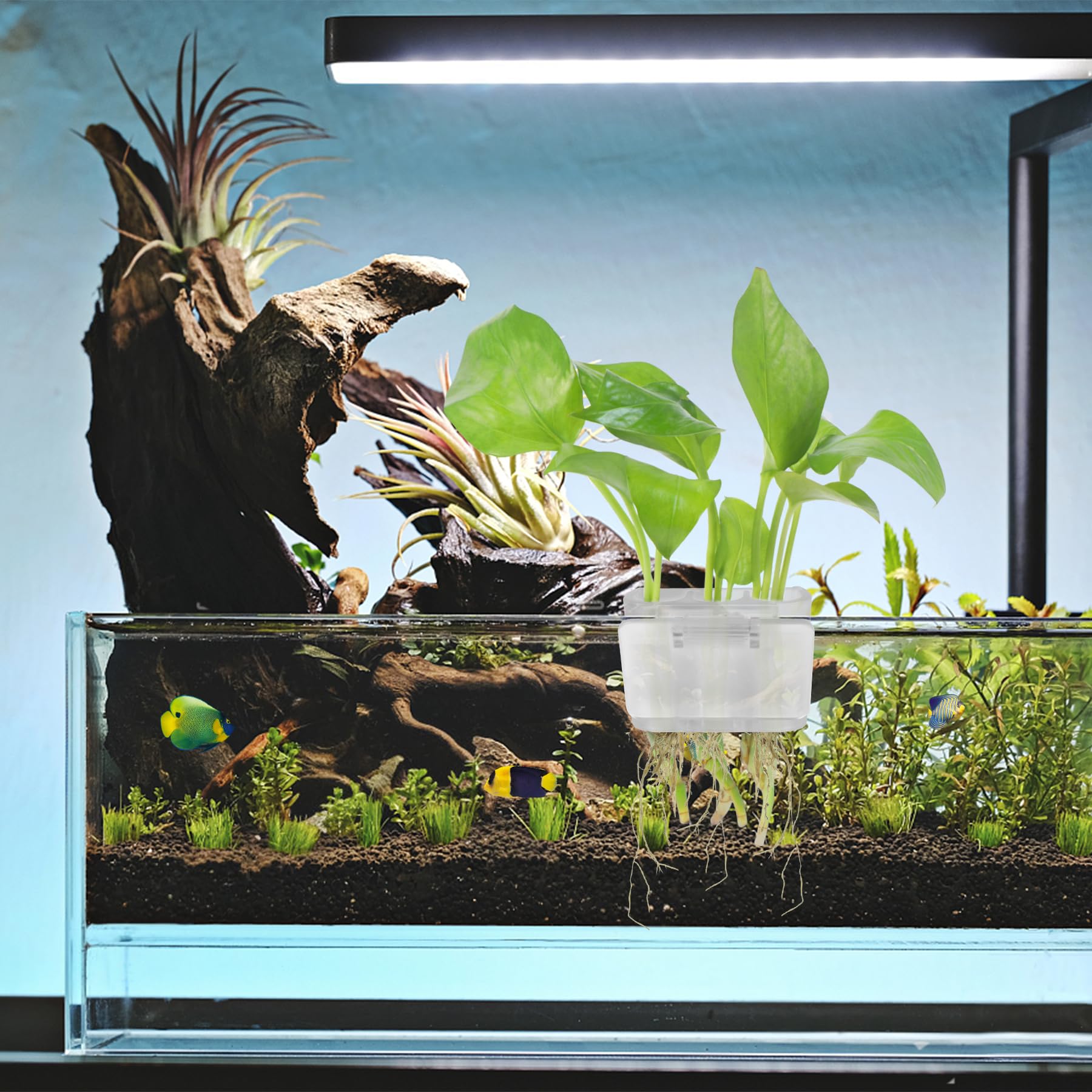 Roetelo incluye tres orificios para distribuir plantas con flexibilidad