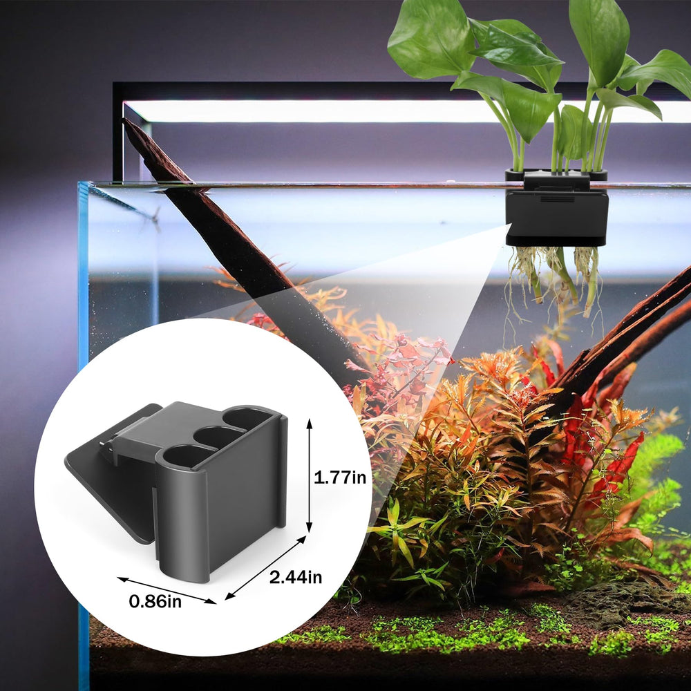 Roetelo tabique removible facilita cambiar plantas sin desarmar.