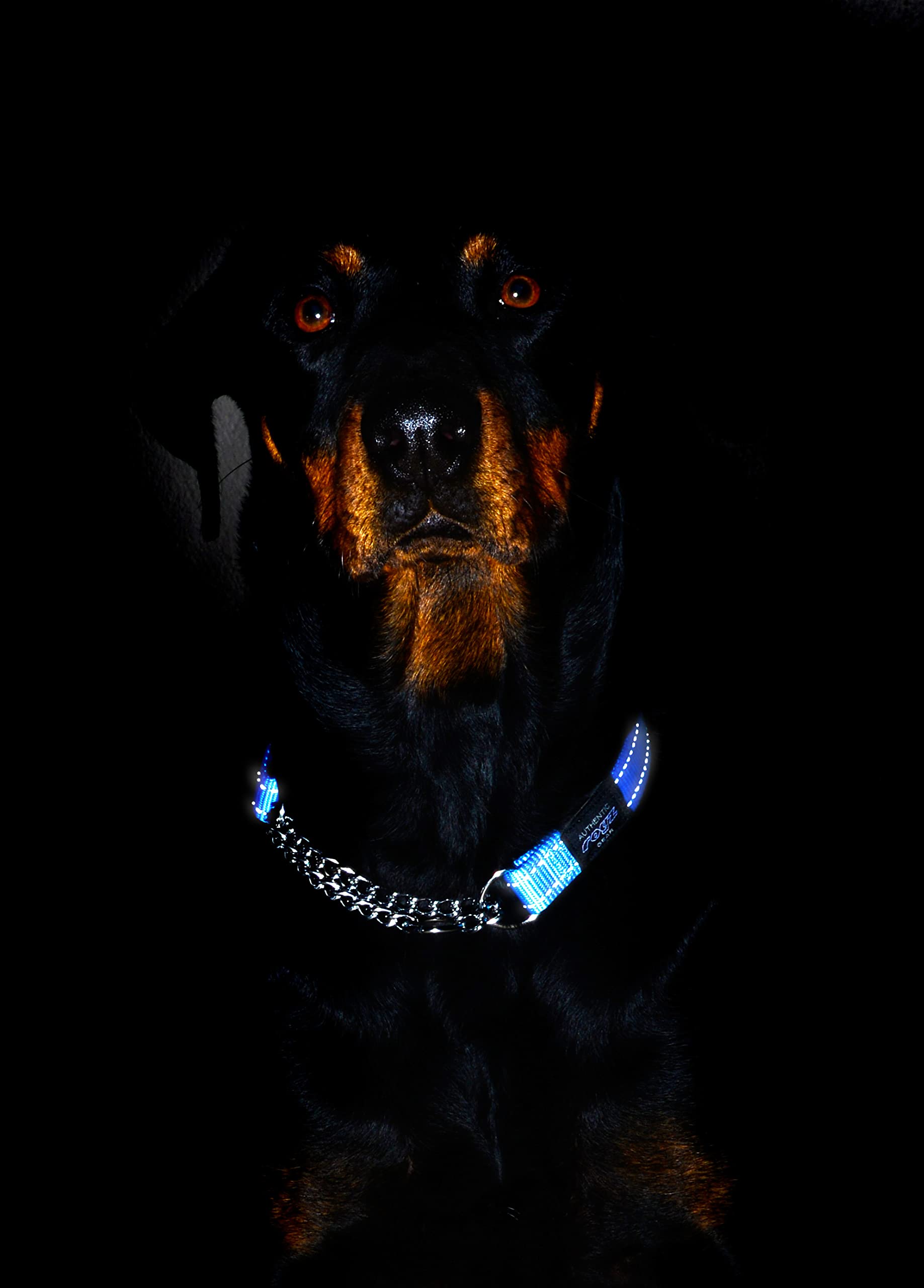 Collar Rogz con colores disponibles para combinación a juego.