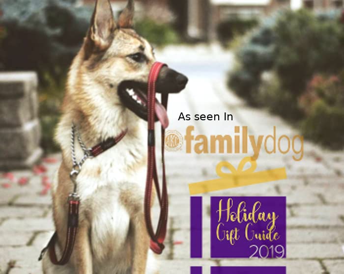 Collar Rogz para perros grandes, diseño seguro y cómodo.